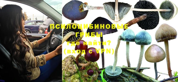 мескалин Белокуриха